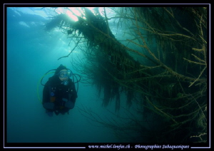 Freshwater diving this week-end...  :O)... by Michel Lonfat 